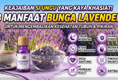 Keajaiban si Ungu yang Kaya Khasiat! 8 Manfaat Bunga Lavender untuk Mengembalikan Kesehatan Tubuh dan Pikiran