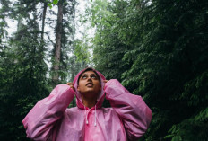 HATI-HATI! 6 Tempat yang Harus Dihindari Untuk Berteduh Saat Hujan