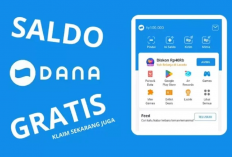 Saldo DANA Gratis Rp110.000 Sudah Bisa Diklaim, Cek Notifikasi Kamu!