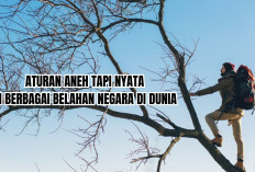 6 Aturan Aneh Tapi Nyata yang Ada di Dunia Ini yang Perlu Kamu Ketahui, Apa Saja?