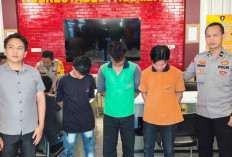 Gelapkan 100 Kg Ayam Potong, 3 Karyawan di Palembang Diserahkan ke Polisi