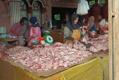 Pedagang Ayam Menjerit, Harga Ayam Potong Naik Rp 8 Ribu Perkilonya, Ini Penyebabnya