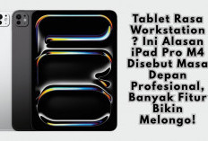 Tablet Rasa Workstation? Ini Alasan iPad Pro M4 Disebut Masa Depan Profesional, Banyak Fitur Bikin Melongo!