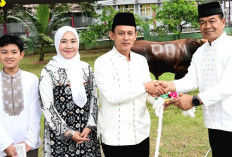 Resmi! Pangdam II Sriwijaya Serahkan Hewan Kurban ke Ketua Panitia, Ini Lokasinya