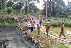 Ketahanan Pangan Jadi Titik Fokus Tim Monev Cek ke Desa Nanjungan Lahat, Intip Yuk
