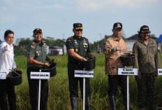 Panen Raya di Lahan Program Opla, Ada Sosok Jenderal Korem Gapo Dampingi Wamentan RI, Siapakah Dia?