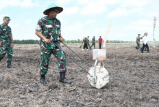 Danrem Hadir Pada Kegiatan Penanaman Padi Gogo, Ini Desanya