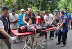 Cuaca Ekstrem Renggut Korban, Pemuda OKU Timur Tewas Tertimpa Pohon