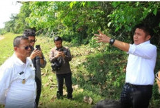 Wali Kota Arlan Antar Gubernur Herman Deru Tinjau Jalan Nigata, Minta Pertamina dan SKK Migas Segera Aspal Jal