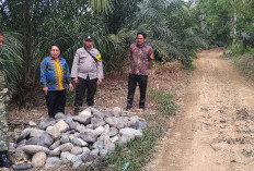 Pemdes Beringin Jaya Lahat Siapkan Akses JUT Sepanjang 260 Meter, Hermansyah: Harus Dikerjakan