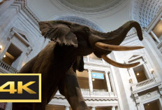 5 Museum Virtual yang Dapat Kamu Coba dari Rumah, Gratis!
