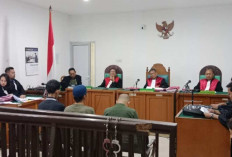 Dituntut 3 Tahun Penjara, Tiga Pekerja Rokok Ilegal Ajukan Pledoi