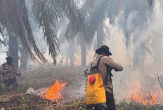 Aparat Kepolisian Padamkan Karhutla di Wilayah PT PAR OKI