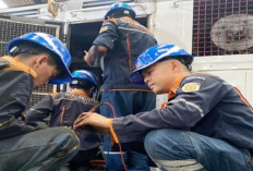 Pastikan Mudik Aman, Perawatan Rutin KAI Divre III Palembang Jamin Keselamatan Angkutan Lebaran