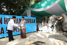 Serahkan Hewan Kurban di Masjid Al Aman, Kapolda Sumsel Tekankan Hal Ini