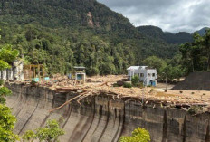 Bukan Sekadar Pembangkit Listrik Hijau, PLTA Sipansihaporas Cegah Banjir Kayu saat Bencana Sumatera