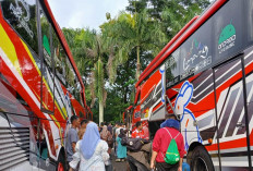  Mau Liburan Rombongan? Pastikan Kendaraan Layak Jalan Ya! Perhatikan Juga Hal Ini!