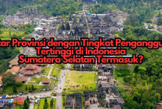 8 Provinsi dengan Tingkat Pengangguran Tertinggi: Sumatera Utara dan Sumatera Barat Termasuk, Sumsel Terlibat?