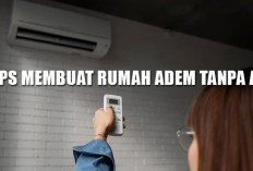 Tips Membuat Rumah Adem Tanpa AC, Ikuti 10 Jurus Jitu Ini