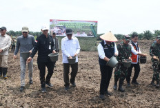 Cetak Sawah Rakyat Banyuasin, Danrem Gapo Bersama Gubernur Sumsel Tanam Padi Serentak
