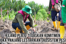 Hari Mangrove Sedunia: Aksi Nyata Kilang Plaju Tanam 21 Ribu Pohon dan Serap Puluhan Ton Karbon di Banyuasin