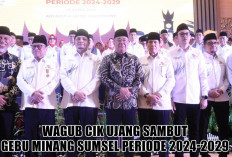 Wagub Cik Ujang Ajak Sinergi Dukung Kemajuan Daerah, Pengurus Gebu Minang Sumsel Beri Respon Mengejutkan