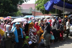 Mendagri: Gerakan Pangan Murah dan Bansos Jadi Bahan Evaluasi untuk Penjabat  Kepala Daerah
