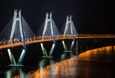 Keren! Jembatan di Riau Ini Digadang-Gadang Terpanjang Indonesia, Bakal Jadi Ikon Baru Tanah Air