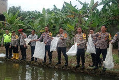 Polres Pagaralam Tebar 5000 Bibit Ikan, Dukung 100 Hari Kerja Presiden dan Wapres 