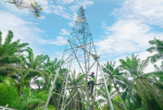 Kinerja Gemilang! Indosat Ooredoo Hutchison Catat Pertumbuhan Laba Dua Digit