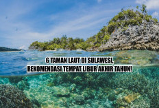 6 Taman Laut di Sulawesi, Rekomendasi Tempat Liburan Akhir Tahun!   