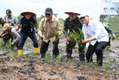 Perkuat Lumbung Pangan, Danrem Gapo Pimpin Penanaman Varietas Inpari di Lahan 17 Hektare