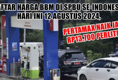 Daftar Harga BBM di SPBU Pertamina Hari Ini 12 Agustus 2024, Pertamax Naik Jadi Rp13.700 Perliter