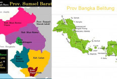 Bentuk Provinsi Baru! 6 Daerah Pemekaran Sumsel Barat Bakal Lampaui penduduk Provinsi Kepulauan Babel