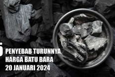 5 Penyebab Harga Batu Bara Kian Anjlok di Akhir Januari 2024, Nomor 3 Bikin Tercengang!