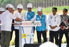 Presiden Jokowi Groundbreaking PLTS PLN 50 MW di IKN Nusantara