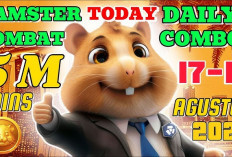 Serbu Sekarang! Daily Combo Hamster Kombat 18 Agustus 2024, Bisa Panen Jutaan Koin Gratis