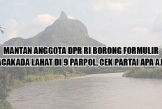 Mantan Anggota DPR RI Borong Formulir Bacakada Lahat di 9 Parpol, Cek Partai Apa Aja! 
