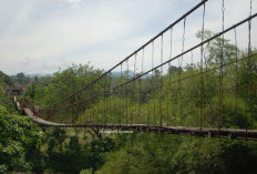 Jembatan Gantung Pagar Batu Kabupaten Lahat Sepanjang 315 Meter Bakal Dijadikan Objek Wisata, Simak Yuk