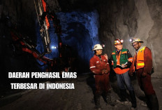Negeri Harta Karun, Inilah TOP 5 Daerah Penghasil Emas Terbesar di Indonesia