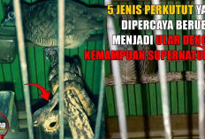 Terkuak! 5 Jenis Perkutut yang Dipercaya Berubah Menjadi Ular dengan Kemampuan Supernatural