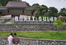 5 Daerah Paling Nyaman di Sumatera Selatan Cocok Buat Pensiunan, Tak Disangka Ada Lubuk Linggau