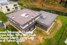 Rumah Minimalis 1 Lantai Tanpa Atap, Why Not? Cek 8 Desain Estetik yang Lagi Hits di Tahun 2025!