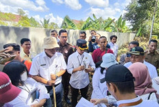 Begini Hasil Sidang Putusan Perkara Hutan Kota Kabupaten OKI