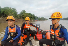 Waduh! Petani Tenggelam di Sungai Musi, Basarnas Sumsel Lakukan Upaya Pencarian