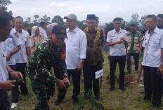 KEREN! Yayasan Indonesia Bumi Hijau Lahat Gelontorkan Bibit Pohon di 16 Desa se Mulak Ulu