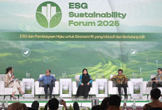 Di Forum ESG, Hashim Apresiasi Peran Aktif Perdagangan Karbon Indonesia, Terbesar dari PLN