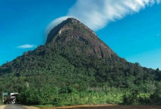 Mengungkap Misteri Gunung Kelam, Kalimantan Barat: Kantong Semar dan Legenda