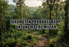 Raup Untung Rp1,46 Miliar, Terdakwa Korupsi Penjualan Hutan Produksi Dituntut 18 Bulan Penjara