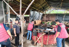 Waduh! Diduga Bocor, Razia Penindakan Gudang BBM Ilegal di Gelumbang dan Lembak Nihil Hasil